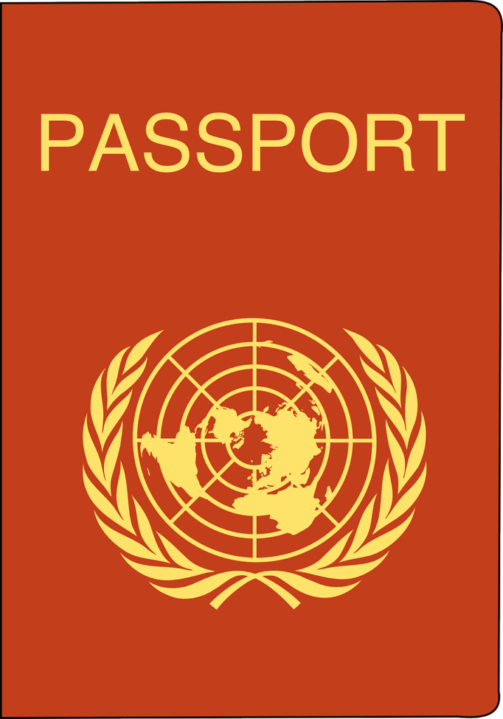 passport, identity, visa-146543.jpg